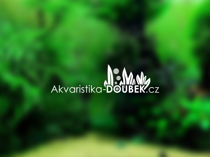 Logo e-shopu s akvaristikou
